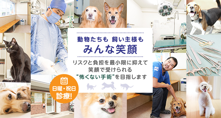 動物たちも飼い主様もみんな笑顔　リスクと負担を最小限に抑えて笑顔で受けられる“怖くない手術”を目指します　日曜・祝日診療！